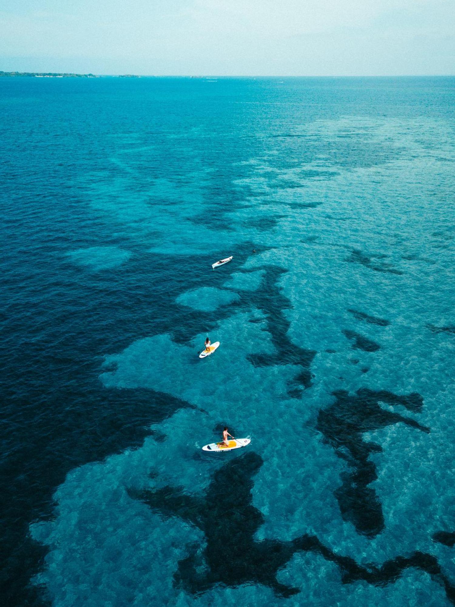 Isla Corona Isla del Rosario Dış mekan fotoğraf